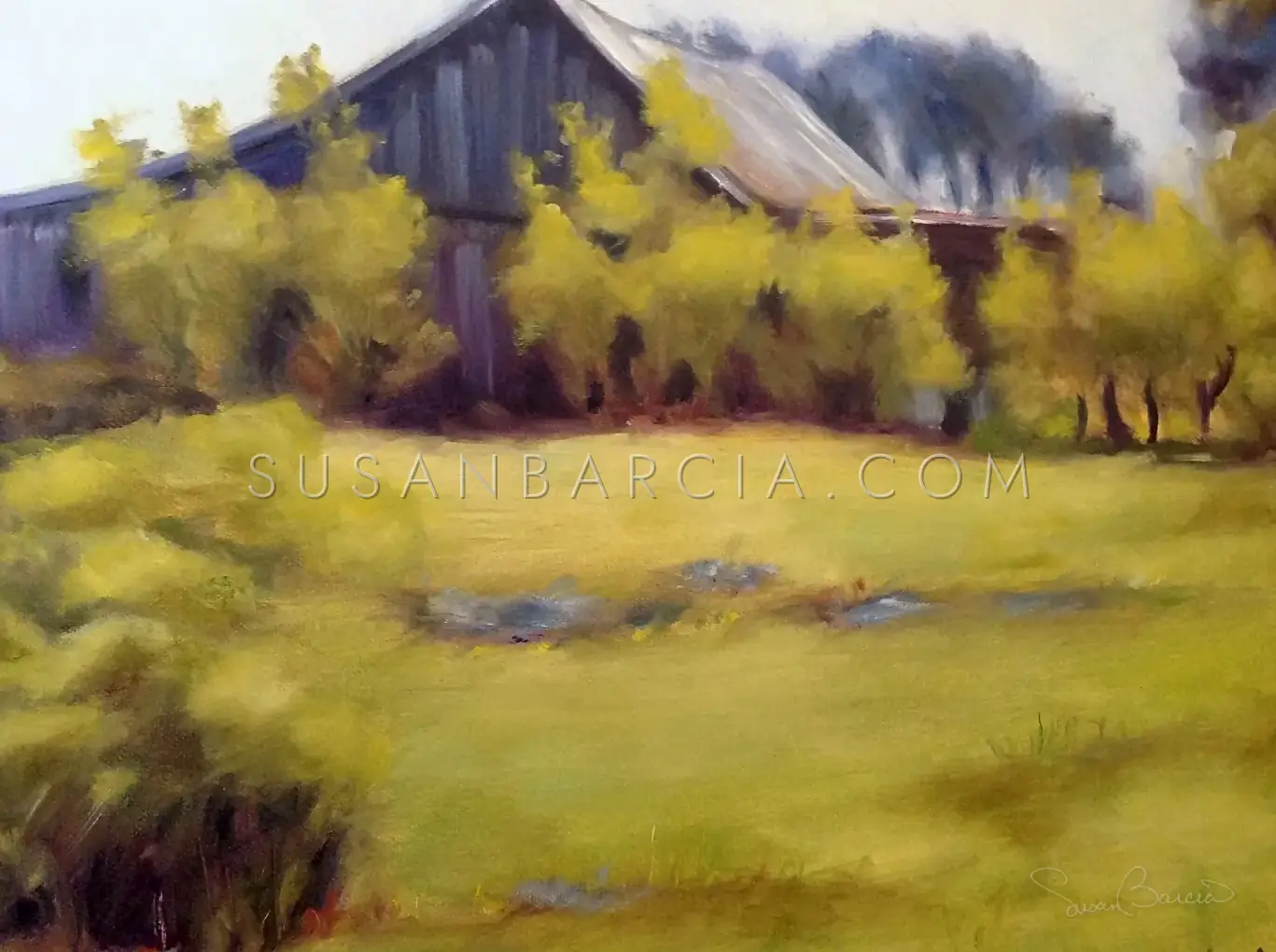 Golden Hour Barn — original painting by Susan Barcia
