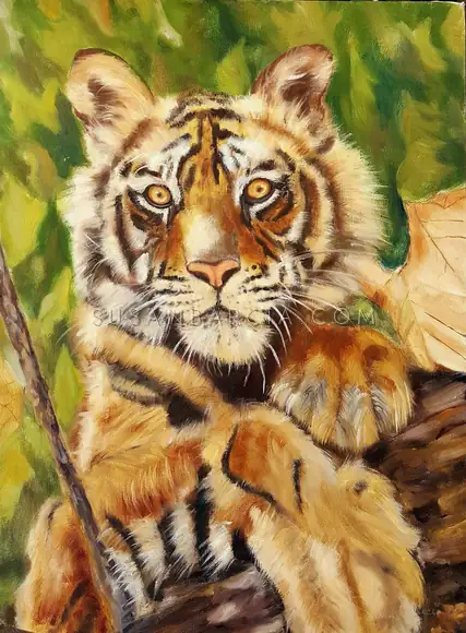 Little Tiger — original painting by Susan Barcia