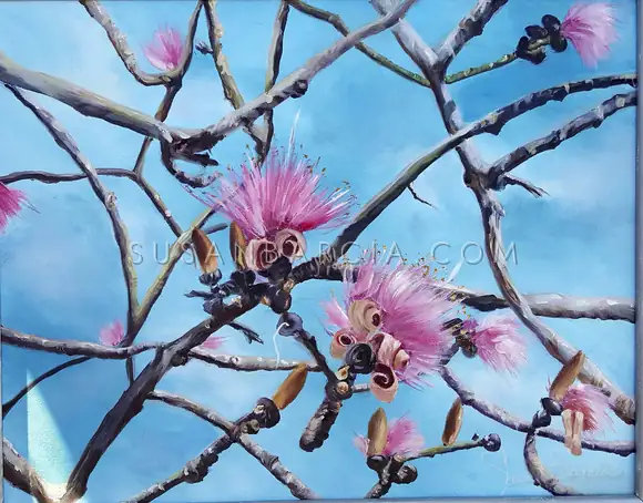 Silk Tree in Bloom — original painting by Susan Barcia